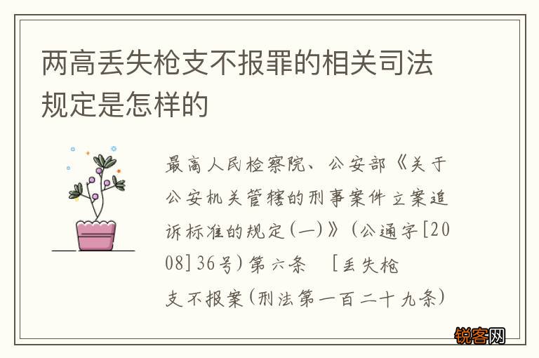 两高丢失枪支不报罪的相关司法规定是怎样的