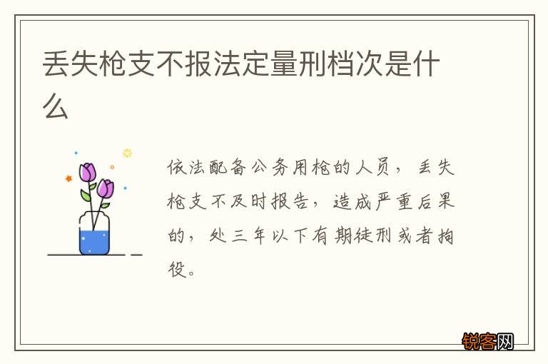 丢失枪支不报法定量刑档次是什么