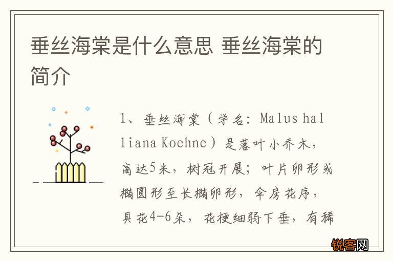 垂丝海棠是什么意思 垂丝海棠的简介