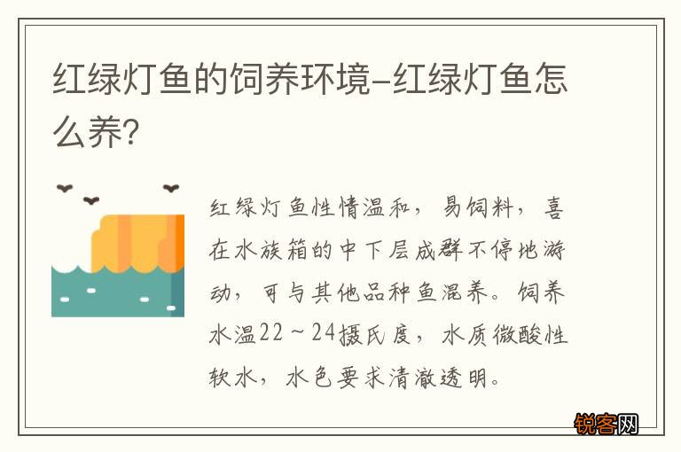 红绿灯鱼的饲养环境-红绿灯鱼怎么养？