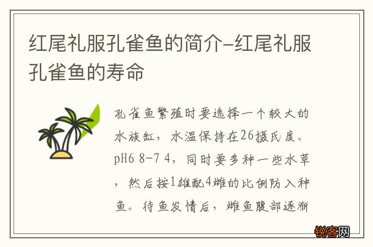 红尾礼服孔雀鱼的简介-红尾礼服孔雀鱼的寿命