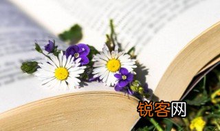 内熊是什么意思 内熊解释