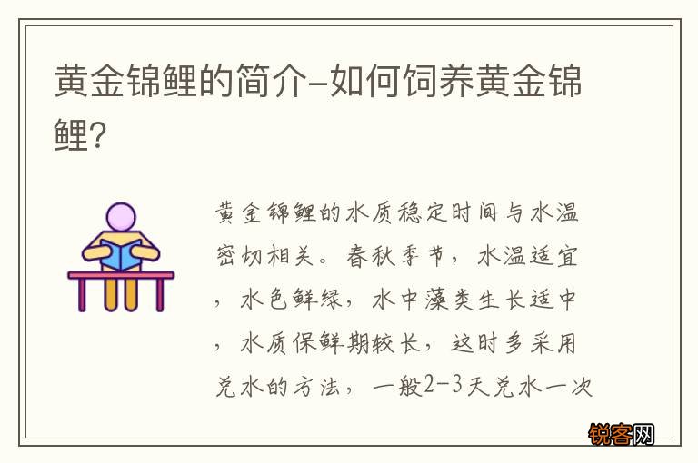黄金锦鲤的简介-如何饲养黄金锦鲤？