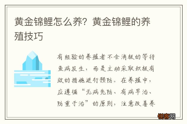黄金锦鲤怎么养？黄金锦鲤的养殖技巧