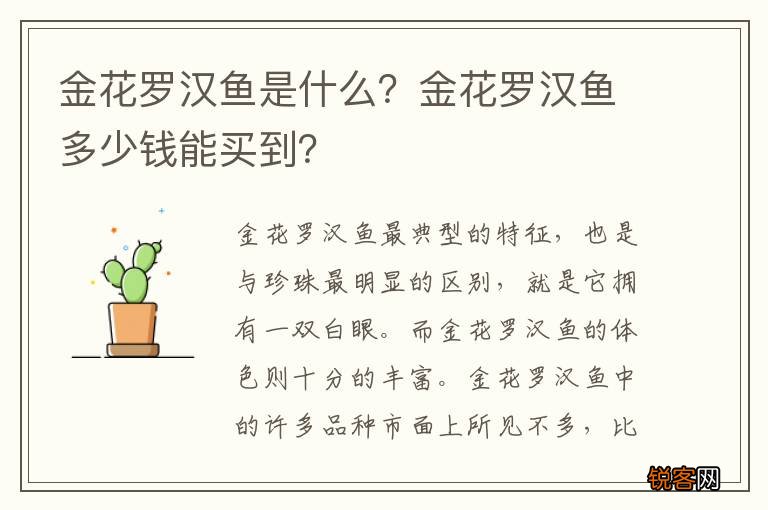 金花罗汉鱼是什么？金花罗汉鱼多少钱能买到？