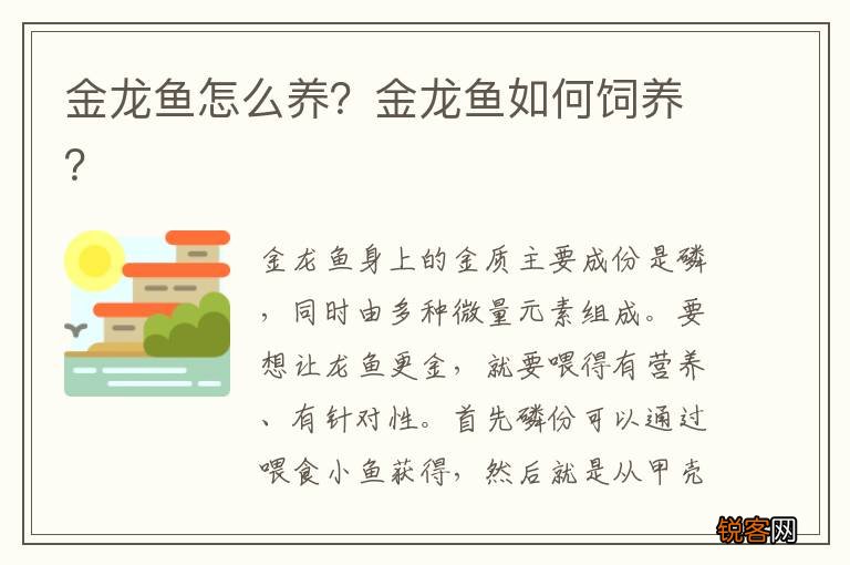 金龙鱼怎么养？金龙鱼如何饲养？