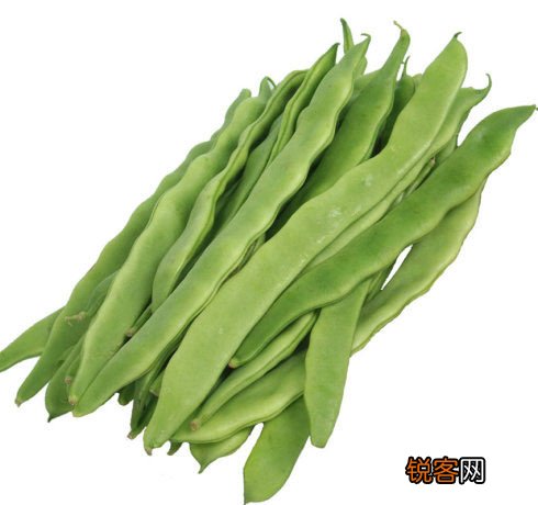 扁豆豆角巧吃防中毒