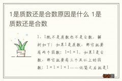 1是质数还是合数原因是什么 1是质数还是合数