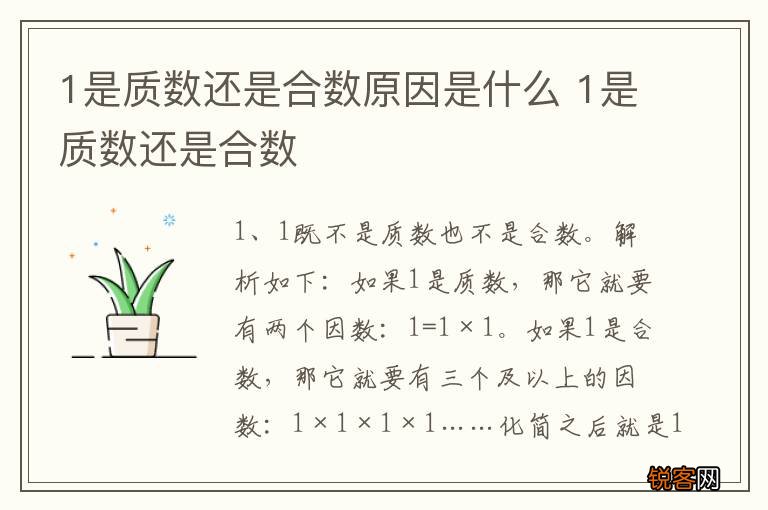 1是质数还是合数原因是什么 1是质数还是合数