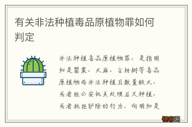 有关非法种植毒品原植物罪如何判定