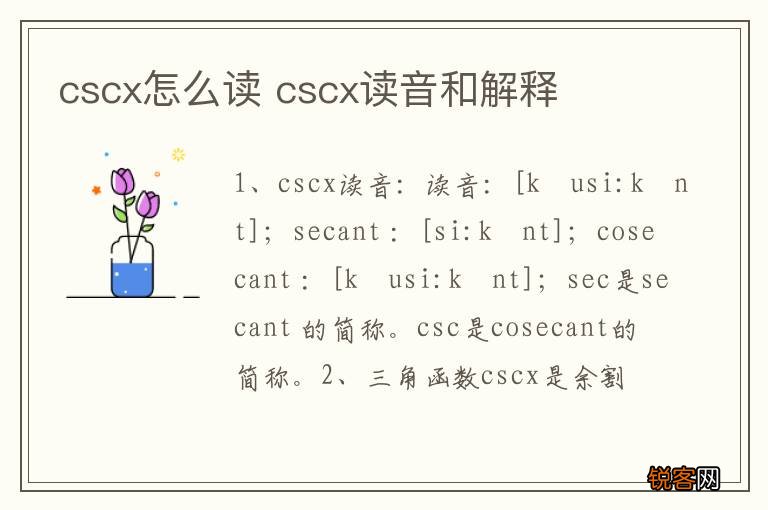 cscx怎么读 cscx读音和解释
