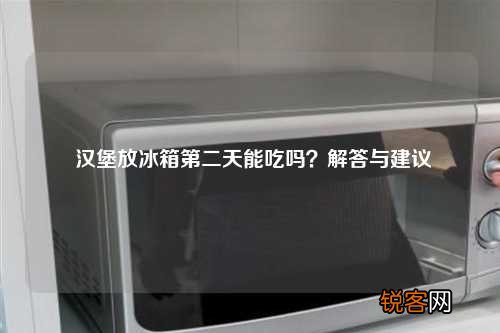 汉堡放冰箱第二天能吃吗？解答与建议
