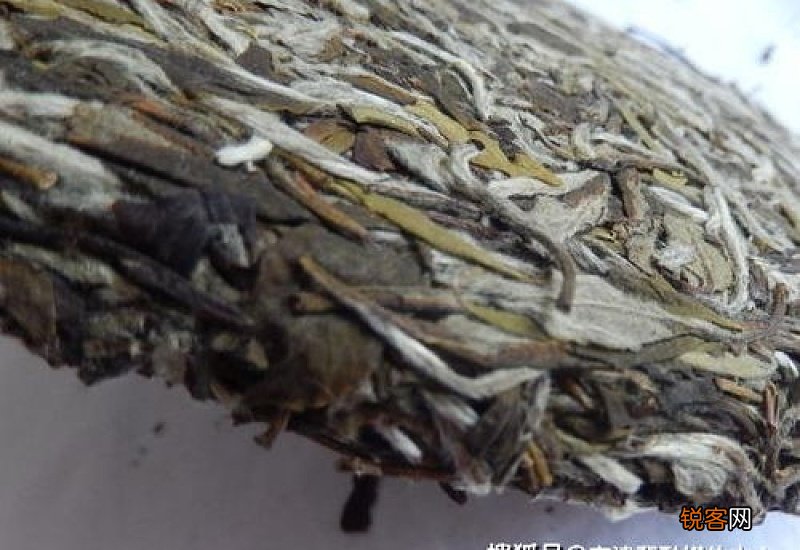 白茶哪里的好 白茶有保质期吗