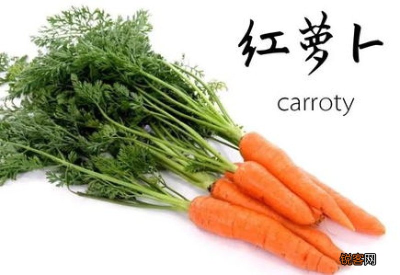 萝卜英语怎么读turnip 萝卜英语怎么读
