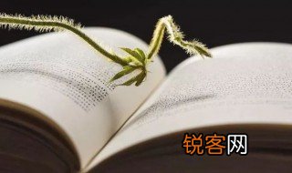干瞪眼什么意思 干瞪眼简单释义