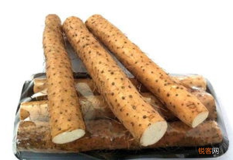 山药相克的食物有哪些