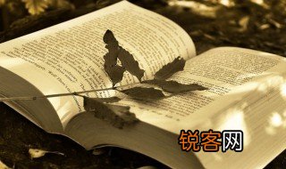 猴子建筑师明白了什么 猴子建筑师含义