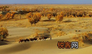 新疆南疆四地州指的是什么 新疆南疆四地州简单介绍