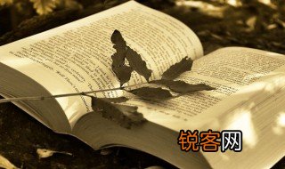 一览而尽的意思 一览而尽的解释