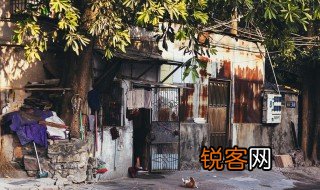 人间真实说的是什么 人间真实简介