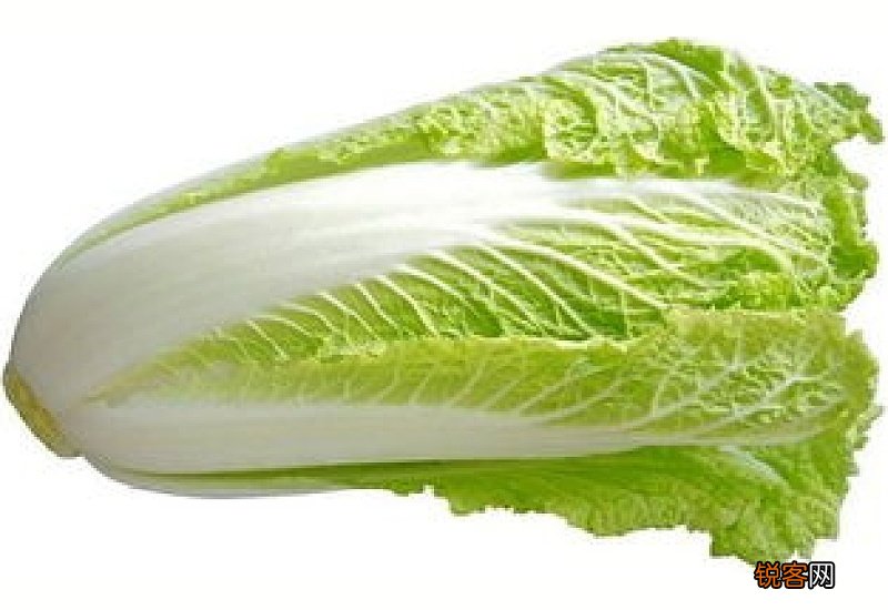 白菜帮和白菜叶哪个更有营养 白菜心要洗吗