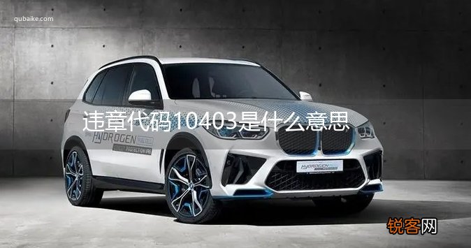 违章代码10403是什么意思