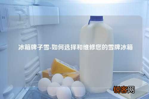 冰箱牌子雪-如何选择和维修您的雪牌冰箱
