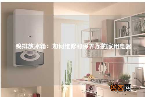 鸡排放冰箱：如何维修和保养您的家用电器
