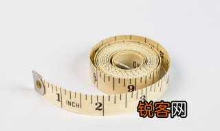 尺子的英语怎么说 尺子的英语是什么