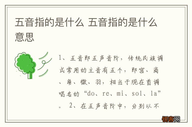 五音指的是什么 五音指的是什么意思