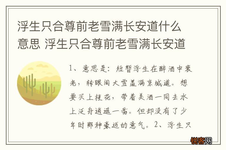 浮生只合尊前老雪满长安道什么意思 浮生只合尊前老雪满长安道指什么