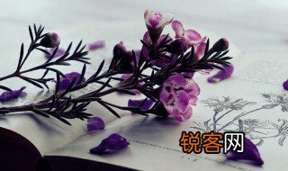 纬线是指哪个方向 纬线解释