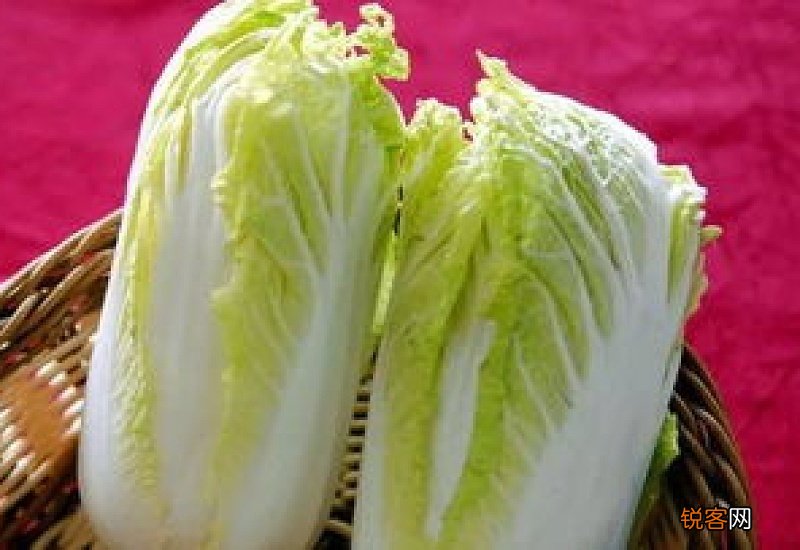 白菜的营养价值是什么 白菜有哪些美味吃法