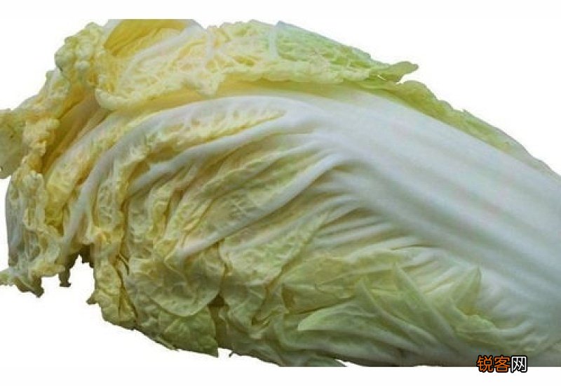 白菜的营养价值有多高 白菜的营养搭配吃法有哪些