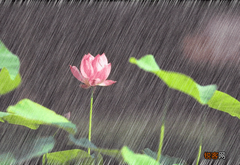 梅雨季节是春夏秋冬哪个季节