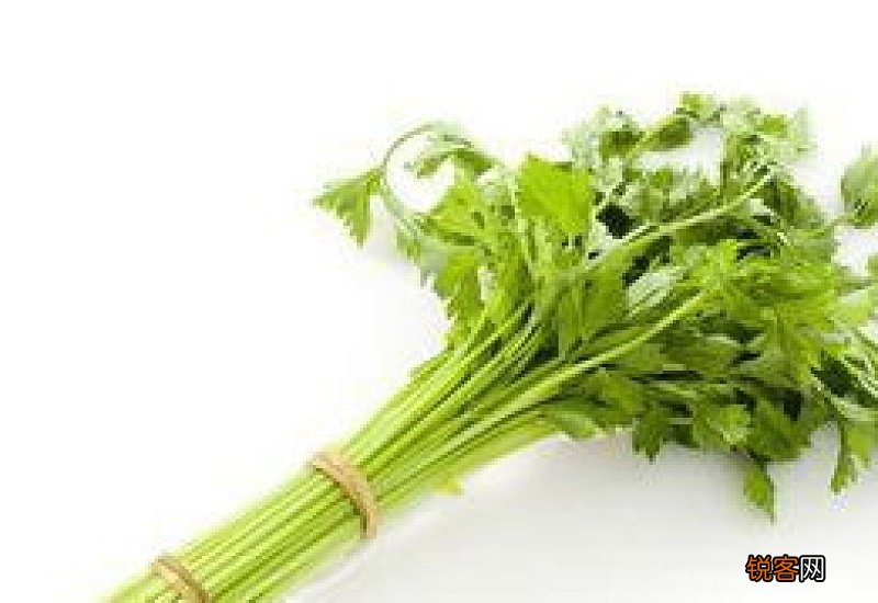 芹菜怎么放保存时间长