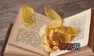 嬢嬢在重庆什么意思 嬢嬢在重庆解释