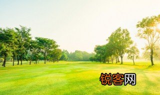 环境用英语怎么说 环境用英语的说法是什么