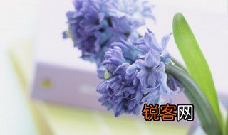 朗朗乾坤的意思 朗朗乾坤的含义