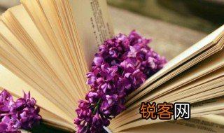 吴带当风的意思 吴带当风的解释