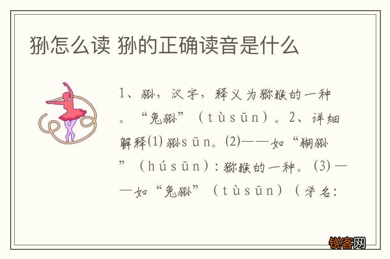 狲怎么读 狲的正确读音是什么