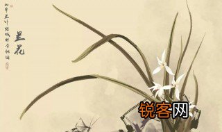 关于兰花的诗句 描写兰花的诗词
