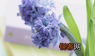 饰怎么读 饰怎么组词