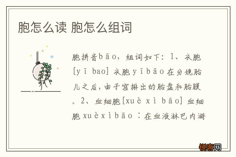 胞怎么读 胞怎么组词