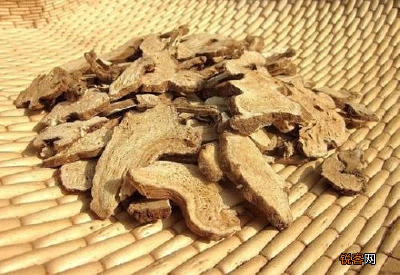 白术是热性还是凉性 脾虚生白术还是炒白术