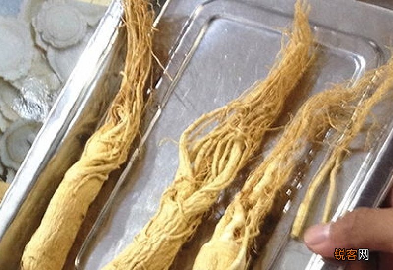 红参和西洋参哪个适合老年人