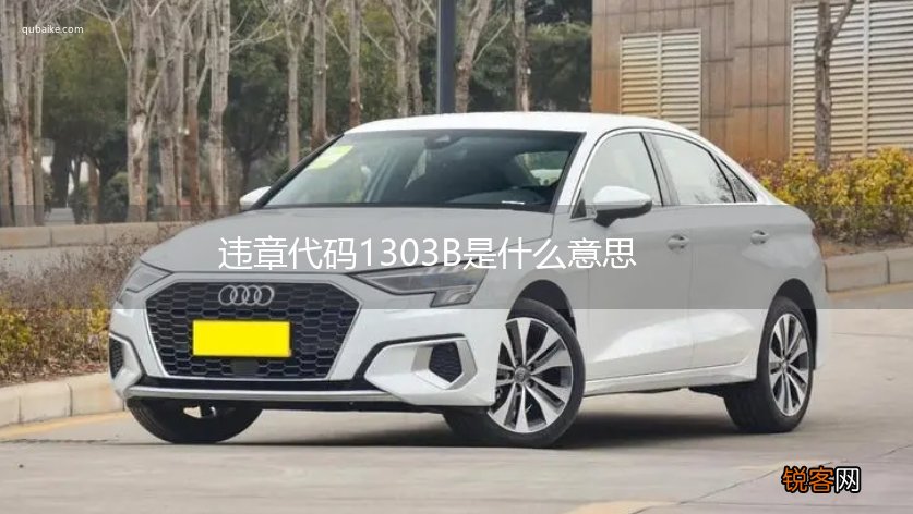 违章代码1303B是什么意思