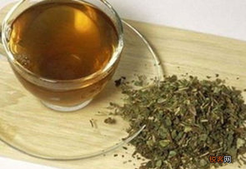 什么人不适合喝蒲公英茶