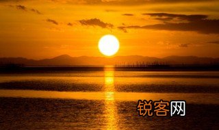 向阳而生的意思是什么 向阳而生的解释