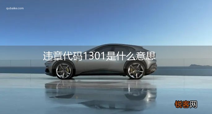 违章代码1301是什么意思